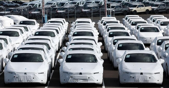 New cars are seen parked in the port of Zeebrugge, Belgium, October 4, 2024. REUTERS/Yves Herman