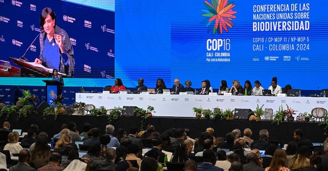 ll ministro dell’Ambiente colombiano e presidente della COP16, Susana Muhamad,  parla durante la cerimonia 