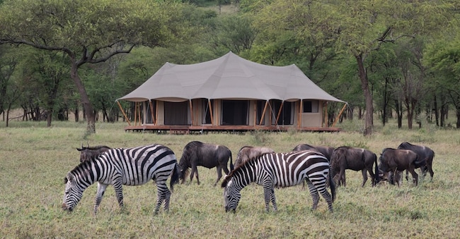 Una tenda di un camp della collezione Kantabile Afrika in   Tanzania: nel Parco del Serengeti, si trovano lontano dalle aree più frequentate dai turisti e lungo i corridoi di migrazione degli animali