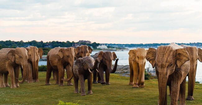 Great Elephant Migration è una delle più note installazioni artistiche itineranti al mondo e conta 100 sculture di elefanti a grandezza naturale. Pochi giorni fa ha fatto tappa a New York. Il progetto sensibilizza sugli ecosistemi faunistici ed è stato realizzato dal collettivo The Coexistence Collective