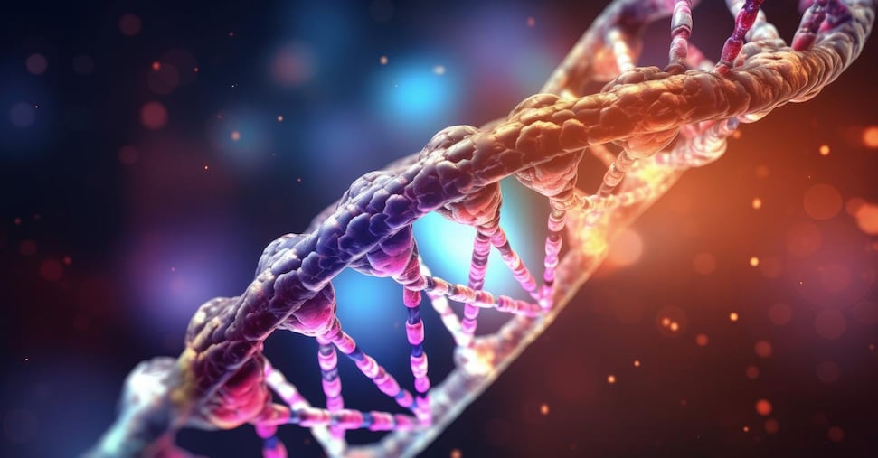 Geni sintetici imitano il modo in cui le cellule costruiscono tessuti e strutture
