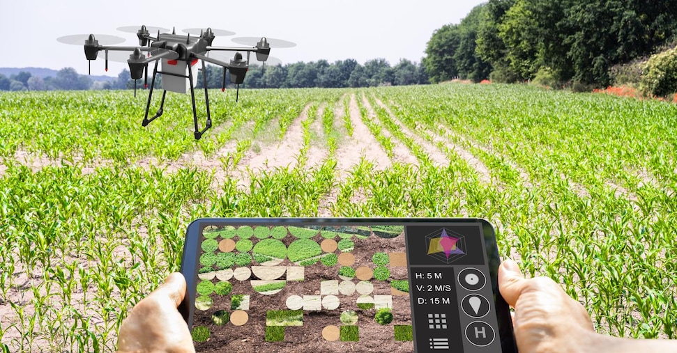 Agritech, un’alleanza necessaria con l’intelligenza collettiva