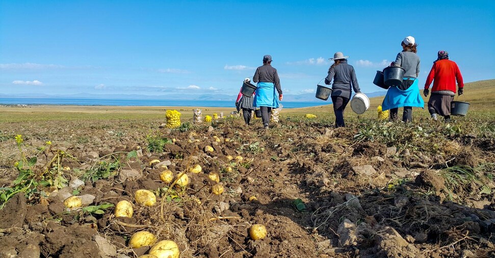 Fondazione Enpaia: l’agricoltura italiana è solida. L’80% dei nuovi iscritti è donna