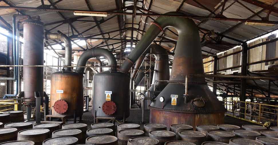 Rum, ecco perché le bottiglie più pregiate possono essere un investimento