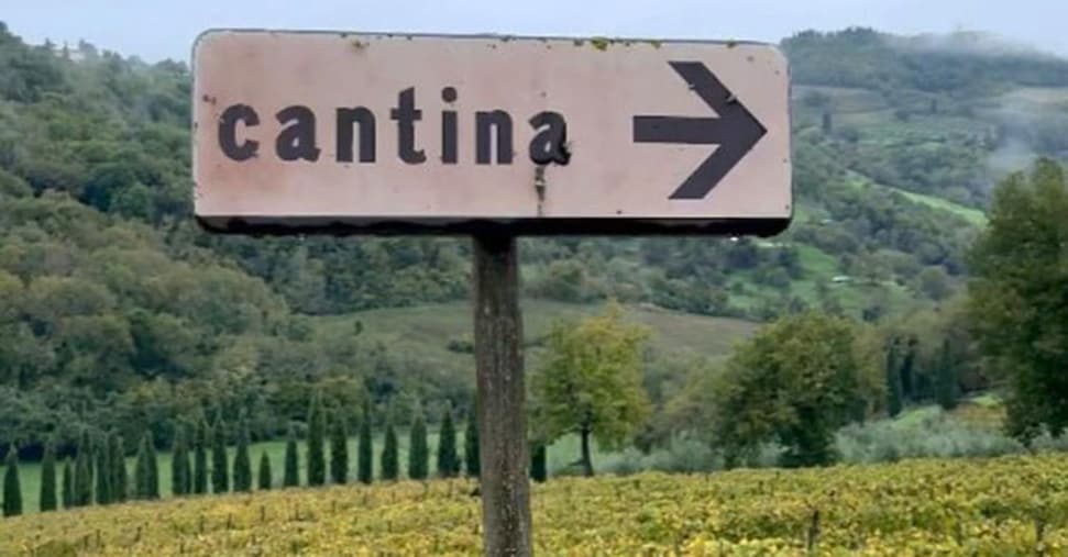 Anche Jovanotti avrà il suo vino, il Chianti Teresina affidato alla cantina Montevertine