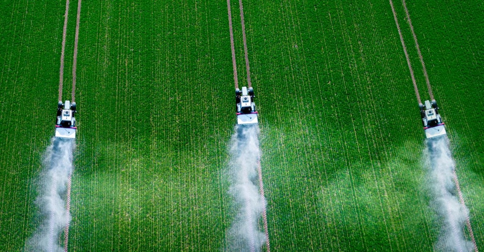 Agrofarma: l’uso di sostanze chimiche nei campi è diminuito del 14% in 10 anni Agrofarma: l’uso di sostanze chimiche nei campi è diminuito del 14% in 10 anni