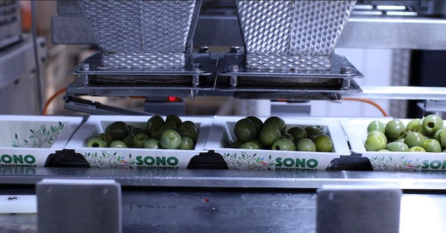 Una fase di produzione di Olive Ficacci