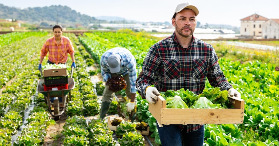 Solo 7 euro di utili per i contadini ogni 100 euro spesi in prodotti agricoli freschi