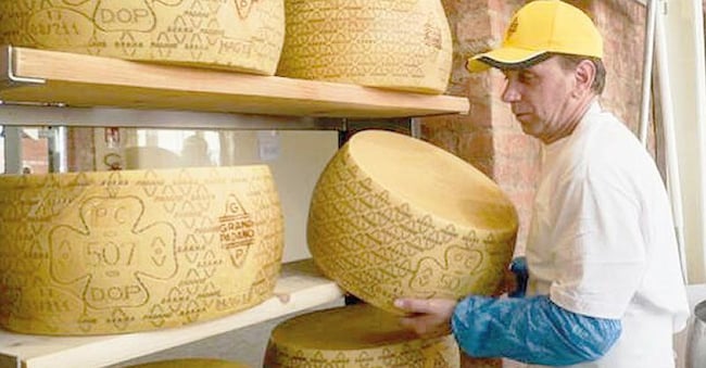 Forme di Grana Padano della Coop Soresina