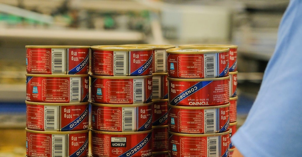 Tonno sott’olio e acciughe del Cantabrico, il Gruppo Consorcio cresce in Italia