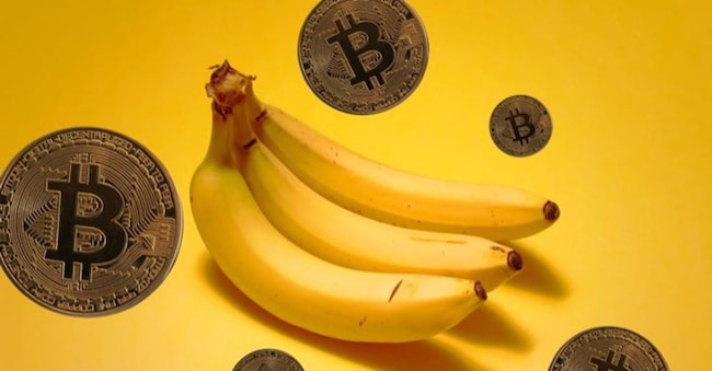 Cryptonews