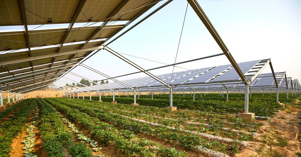 Terreni agricoli: nel 2023 persi 4mila ettari, 400 a causa del fotovoltaico