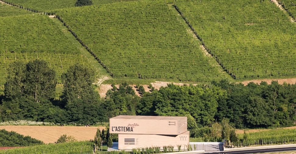 «L”Astemia» non è più pentita e punta al raddoppio delle bottiglie di vino in 5 anni «L”Astemia» non è più pentita e punta al raddoppio delle bottiglie di vino in 5 anni