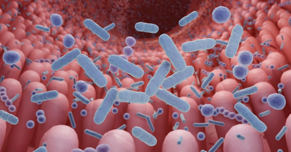 Microbiota, l’altolà degli esperti. Linee guida italiane mettono ordine nel «Far West» dei test