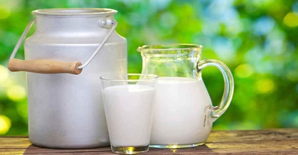 Ismea: produzione di latte in crescita. Consumi: meno fresco e più yogurt Ismea: produzione di latte in crescita. Consumi: meno fresco e più yogurt