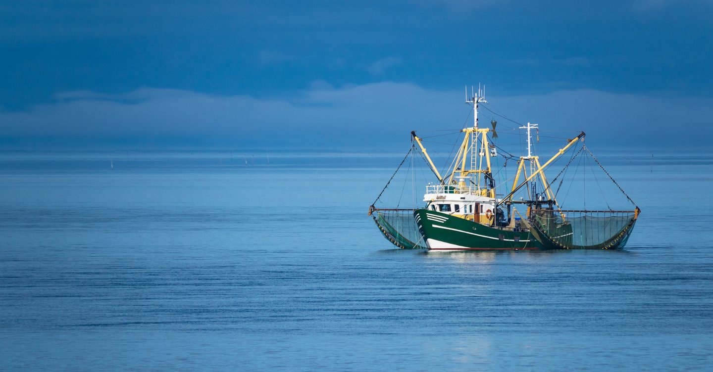 Pesca, vittoria italiana a Bruxelles: nessuna riduzione per lo strascico nel 2025
