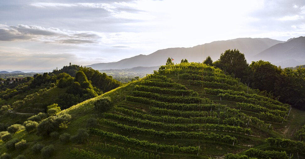 Esportazioni di vino, storico (ma atteso) sorpasso degli spumanti sui rossi