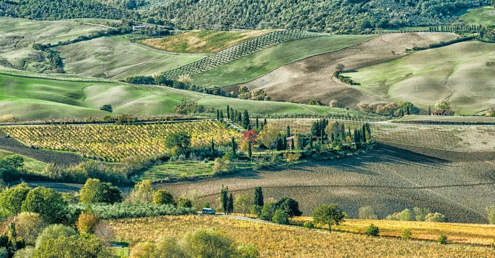 Quanto vale il turismo enogastronomico e le sue prospettive - Il Sole