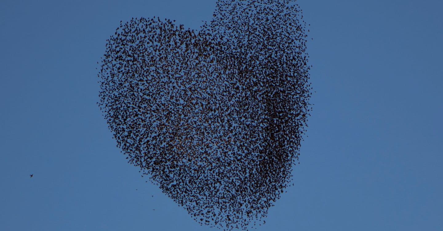 I cambiamenti? Così sono guidati dall’intelligenza collettiva potenziata con l’Ai