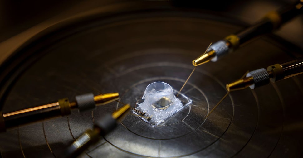 Arriva il ghostbuster delle nanoplastiche: il supersensore che scandaglia mari e fiumi Arriva il ghostbuster delle nanoplastiche: il supersensore che scandaglia mari e fiumi