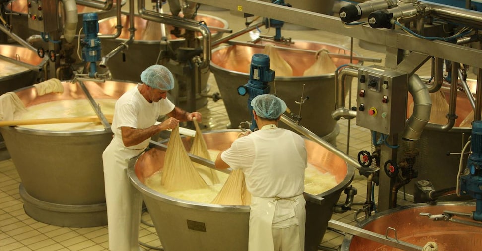 Falsa ricotta Bio venduta alla grande distribuzione: è frode alimentare aggravata
