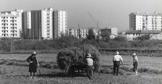 Contadini in via Trenno nel quartiere Lampugnano a Milano; 1960-1970