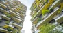 Green plants on the balcony of several apartments in a big city