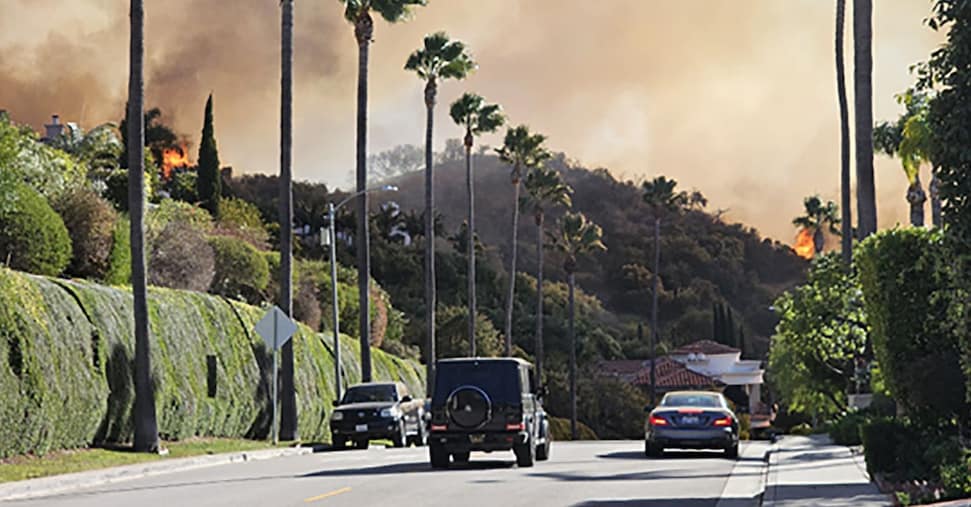Incendi a Los Angeles: bruciano case di artiste e artisti e collezioni Incendi a Los Angeles: bruciano case di artiste e artisti e collezioni