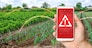 A phone warns of the danger against the background of a farm plantation field. Monitoring and analysis of the presence of chemicals, heavy metals, pollution, radiation or microplastics in the crop
