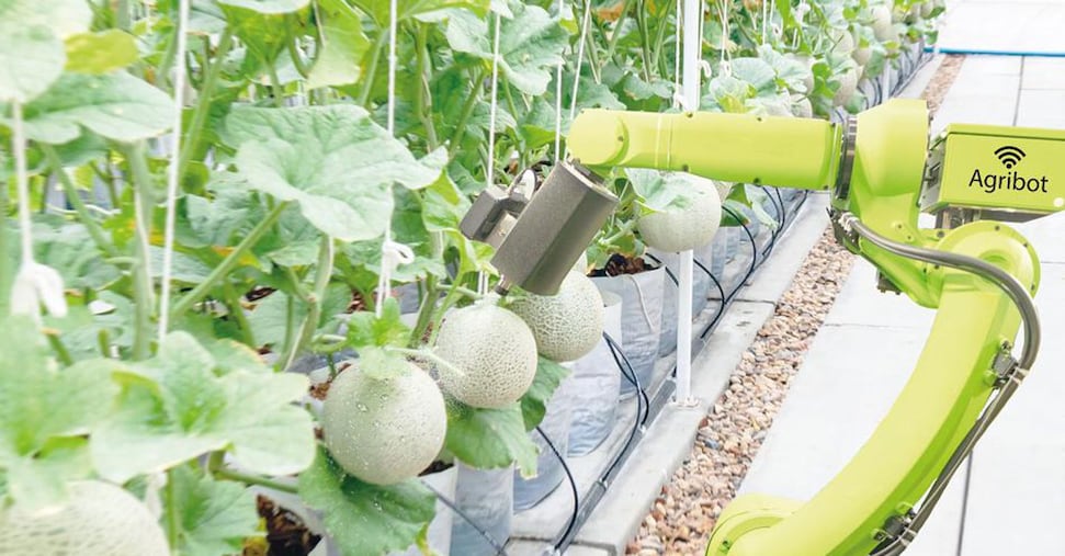 Agritech, per la prima volta frenano gli investimenti Agritech, per la prima volta frenano gli investimenti