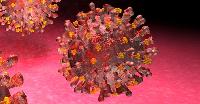 Modello tridimensionale generato al computer del virus dell’influenza aviaria H5N1. (Alamy Stock Photo via Reuters)
