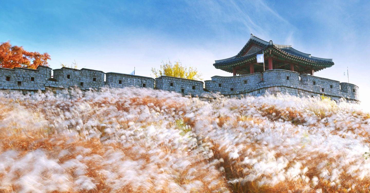 Viaggio nel Paese del Primo Sole tra festival, profumi di ciliegi e la nuova K-pop