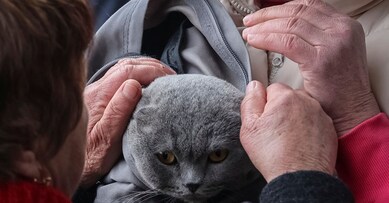 REUTERS
