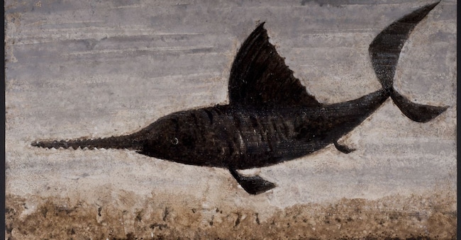 Pino Pascali, «Pesce sega», 1964, bitume, pittura lavabile e tempera su cartoncino, 25 x 35 cm.