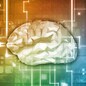 Science Analytics and Medical Concept for Brain