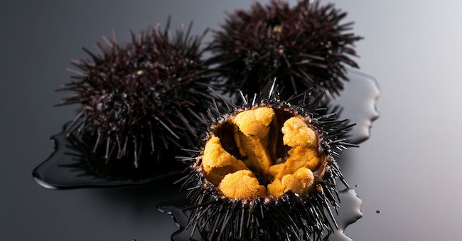 Uni Frozen, il pregiato riccio di mare giapponese