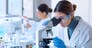 Young scientists conducting research investigations in a medical laboratory, a researcher in the foreground is using a microscope
