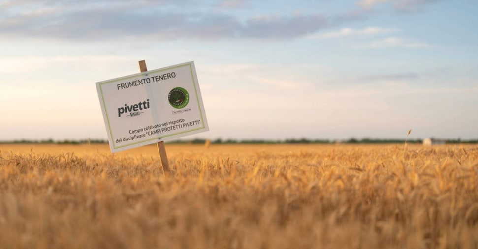 Molini Pivetti: 150 anni di storia e un futuro sempre più sostenibile