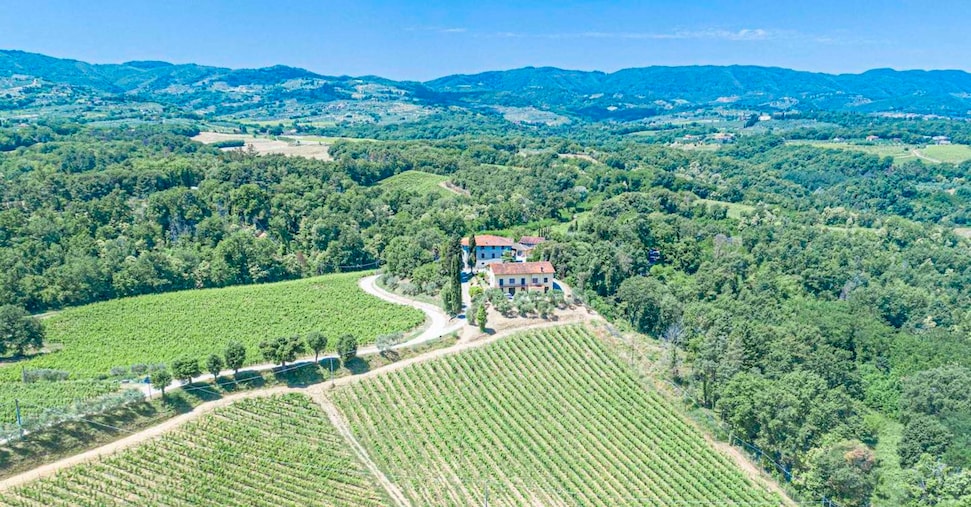 Dalla rottamazione dei vigneti alla rotazione dei terreni: settimane decisive in Europa