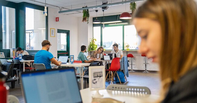 Giovani al lavoro in un paio di cooperative della Basilicata: il numero di coop nella regione è stato in crescita in modo significativo