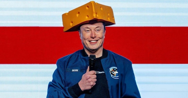 ELON MUSK AD TESLA ELON MUSK INDOSSA UN CAPPELLO A FORMA DI FORMAGGIO