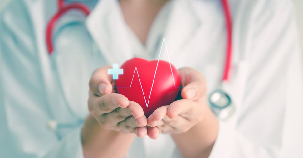 Dieta Plant-Based: Come Migliorare il Cuore e il Metabolismo per una Lunga Vita