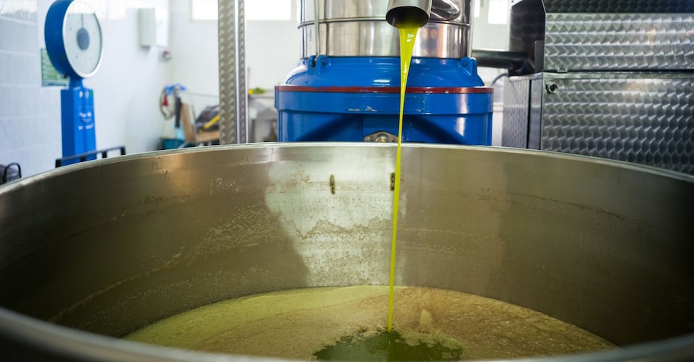 Oleum Spec, a valutare la bontà dell’olio extravergine d’oliva sarà il naso elettronico intelligente Made in Emilia