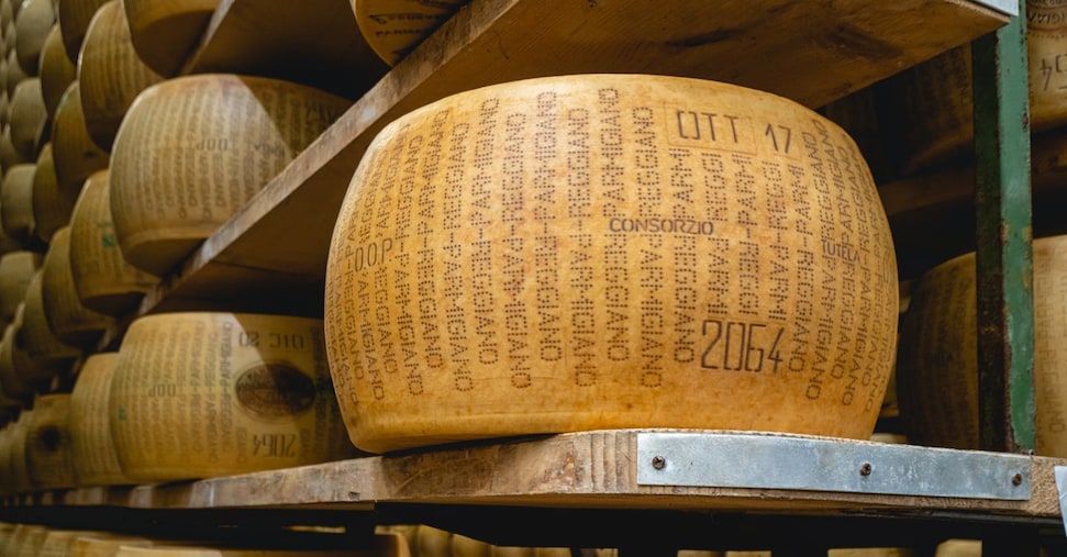 Export alimentare, i dazi di Trump ci costano 800 milioni di euro. Grana Padano: tariffa più che raddoppiata
