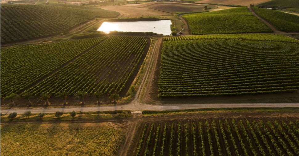 Dazi, i Consorzi del vino spingono sul dialogo con i buyer