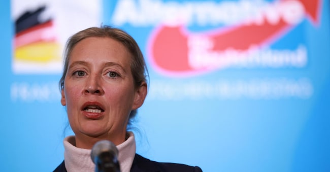 Alice Weidel, co-presidente del partito tedesco di estrema destra Afd