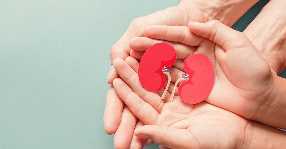 Samaritano dona un rene a una donna e le salva la vita: è la decima volta in Italia