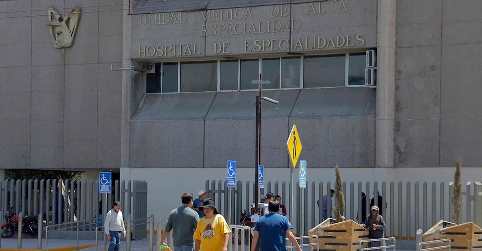 Primo decesso umano da influenza aviaria in Messico: una bambina di 3 anni contagiata da un uccello