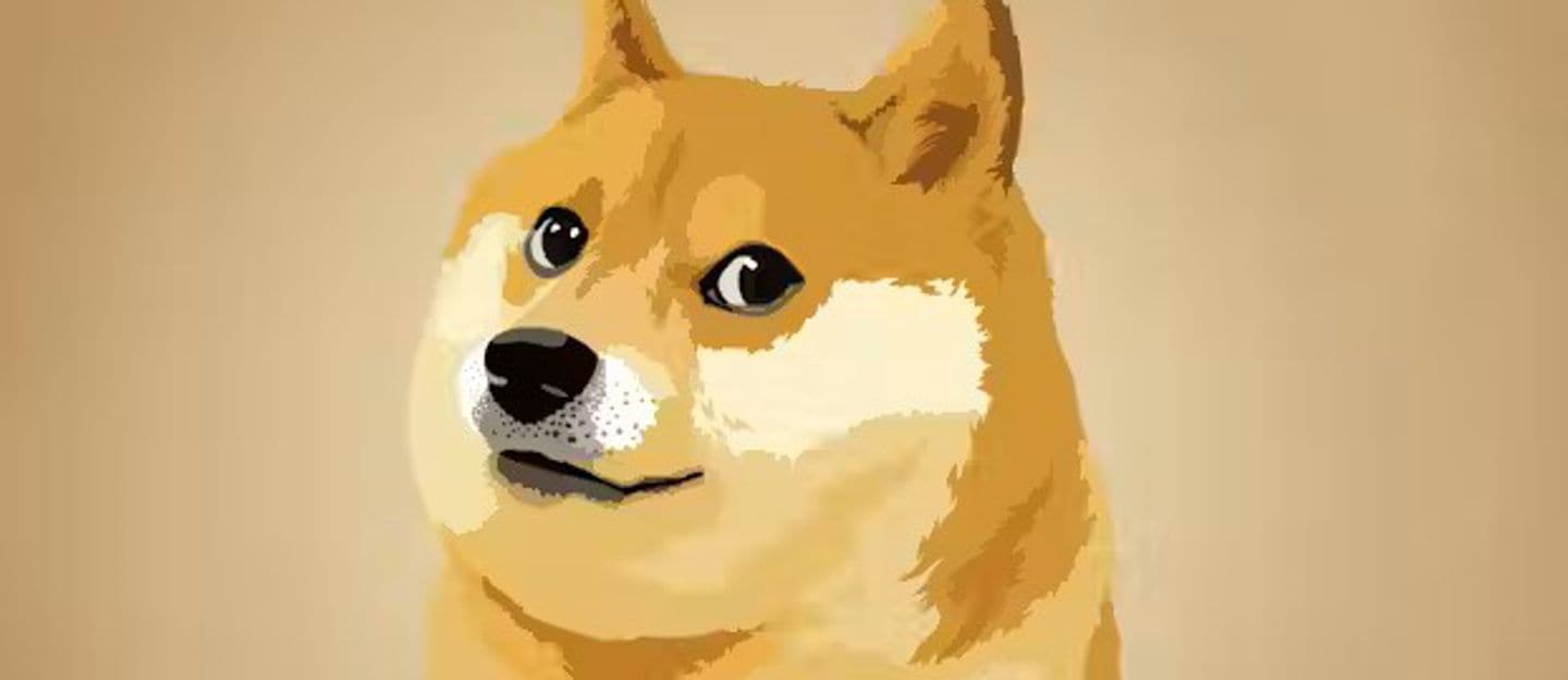 So much uncertainty about Doge, the US Department of Efficiency - Il Sole  24 ORE