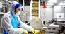 Staff of seafood production factory carrying out his work by industrial seaweed salad mixing machine